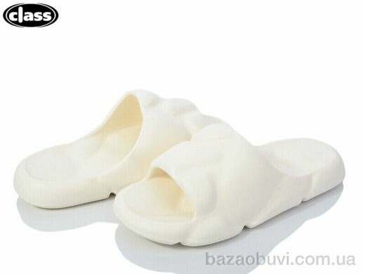 Wei Wei-Class 2339-2, 175.00, 8, 36-41