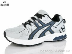 Башили Z6501-70, 800.00, 8, 41-45