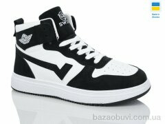 Swin 1604-12, 390.00, 8, 36-41