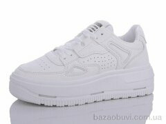 Xifa 777-H8-1, 480.00, 8, 36-41