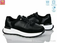 PLPS S629-1, 860.00, 6, 36-40