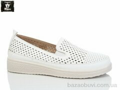 Steel Land 2024-20, 450.00, 8, 36-41