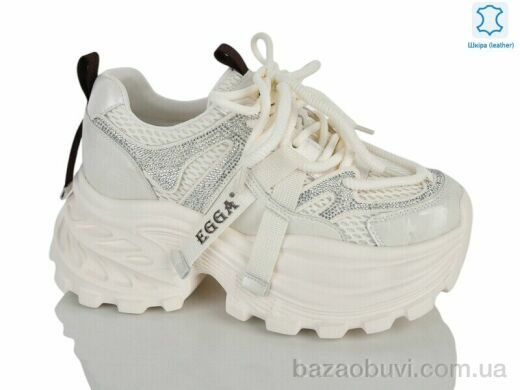 Teetspace-Trasta-Egga WDP2072-26, 37.00, 6, 36-40