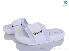 Захар-Gold BH9031-2, 230.00, 8, 36-41