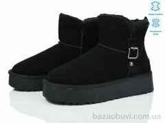 Xifa XF01-3331-1, 750.00, 8, 36-41