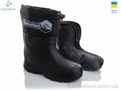 Acorus C22-1, 245.00, 6, 42-45