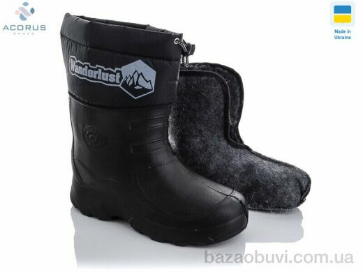 Acorus C22-1, 245.00, 6, 42-45