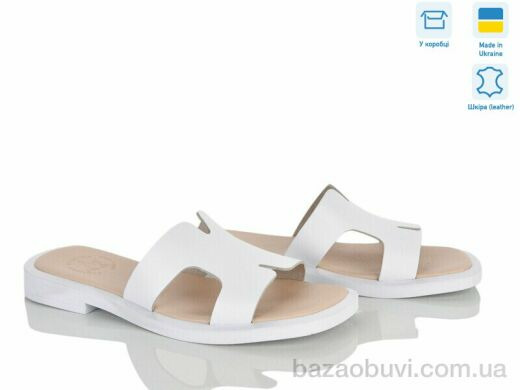 Ailinda 480-8, 640.00, 6, 36-40