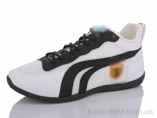 Lion SD3, 170.00, 8, 36-41