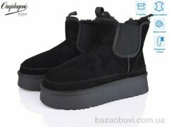 Dageni OQ005-1, 24.00, 8, 36-41