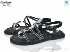 Dageni F31-1, 550.00, 8, 36-41