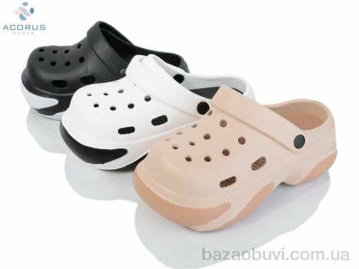 Acorus 24-116 mix, 290.00, 12, 36-41