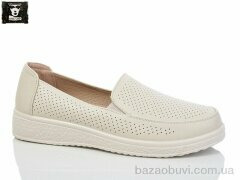 Steel Land 2024-25, 450.00, 8, 36-41