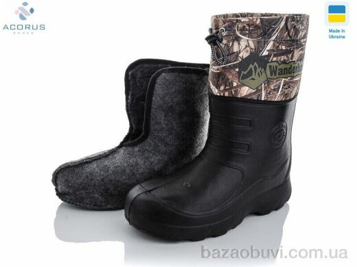 Acorus C22-2, 245.00, 6, 42-45