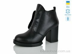 Carolina C2021-1, 550.00, 6, 36-40