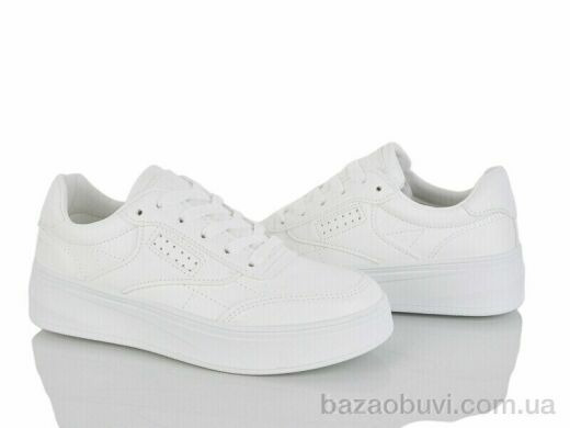 L.B. L803, 500.00, 8, 36-41