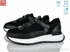 PLPS S629-2, 860.00, 6, 36-40