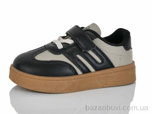 ASHIGULI 2026-1, 300.00, 12, 26-31