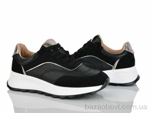 Loretta V1001-1, 500.00, 8, 36-40