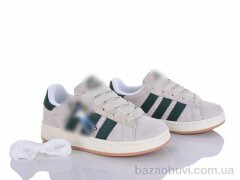 Мир 4399-T243-1, 450.00, 8, 33-38