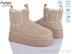 Dageni OQ005-3, 24.00, 8, 36-41