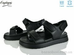 Dageni F17-1, 650.00, 8, 36-41