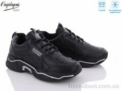 Dageni C8-1BB, 520.00, 8, 37-41