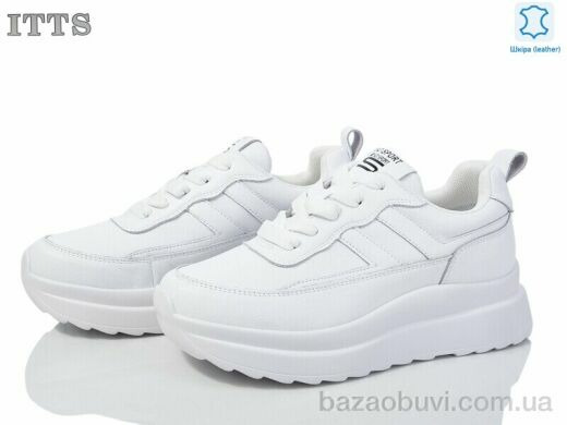 ITTS MT65-2, 20.00, 6, 36-41