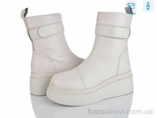 Мир 4216-D781-17, 550.00, 6, 36-40