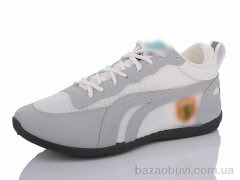 Lion SD7, 200.00, 8, 36-41