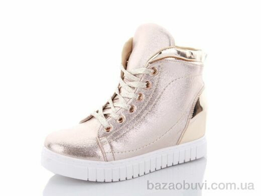 Lion 1256-5, 100.00, 8, 36-41