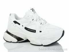 Xifa XF02-A6-11, 480.00, 8, 36-41