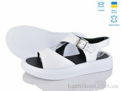 Ailinda 3268-8, 670.00, 6, 36-40