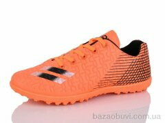 ASHIGULI C11-31, 440.00, 12, 36-41