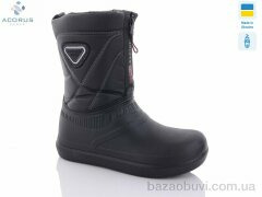 Acorus 101, 230.00, 8, 37-41