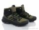 Violeta AA4045-5, 1580.00, 8, 41-46