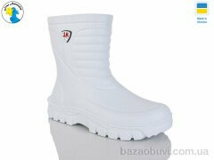 Jose Amorales 125154-46A, 8.00, 6, 41-46