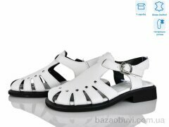 Захар-Gold T986-2, 420.00, 8, 36-41