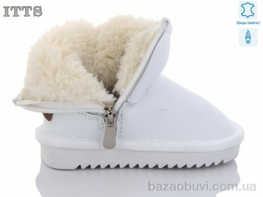 ITTS 7801-9, 600.00, 6, 22-26