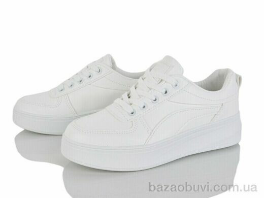 L.B. L804, 500.00, 8, 36-41