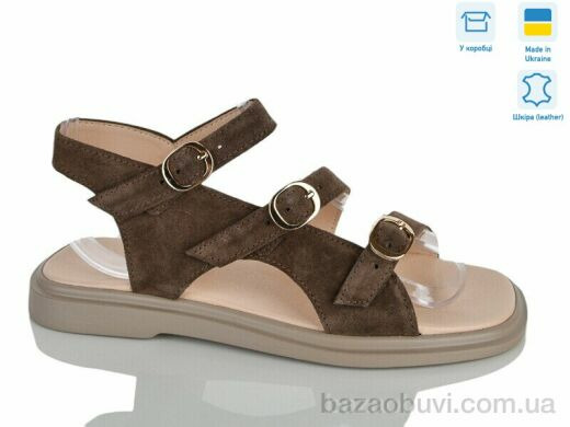 Botema 01008-2, 800.00, 8, 36-40