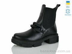 Carolina AP149-1, 650.00, 6, 36-40