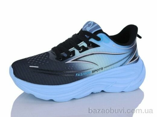 Ditof B0100-1, 11.00, 8, 36-41