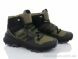 Violeta AA4045-5, 1580.00, 8, 41-46