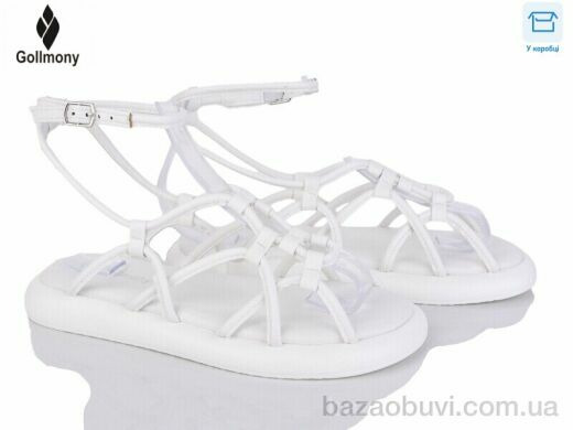 Gollmony 2025-71-2, 520.00, 8, 36-41