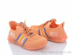 Violeta 2016 orange, 290.00, 6, 33-38