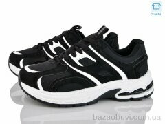 Xifa H67-12, 630.00, 8, 36-41