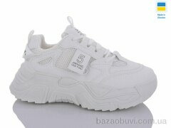 Swin 5606-4, 290.00, 8, 36-41