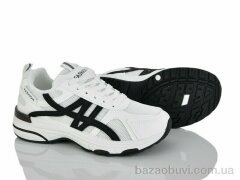 L.B. L1161-1, 650.00, 8, 36-41