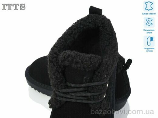 ITTS 7831, 20.00, 6, 32-37